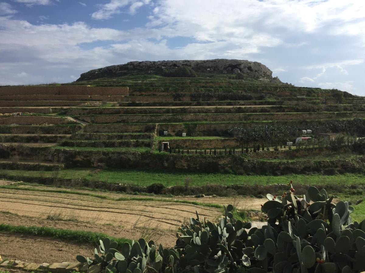 Gozo Dwejra Views Leilighet San Lawrenz Eksteriør bilde